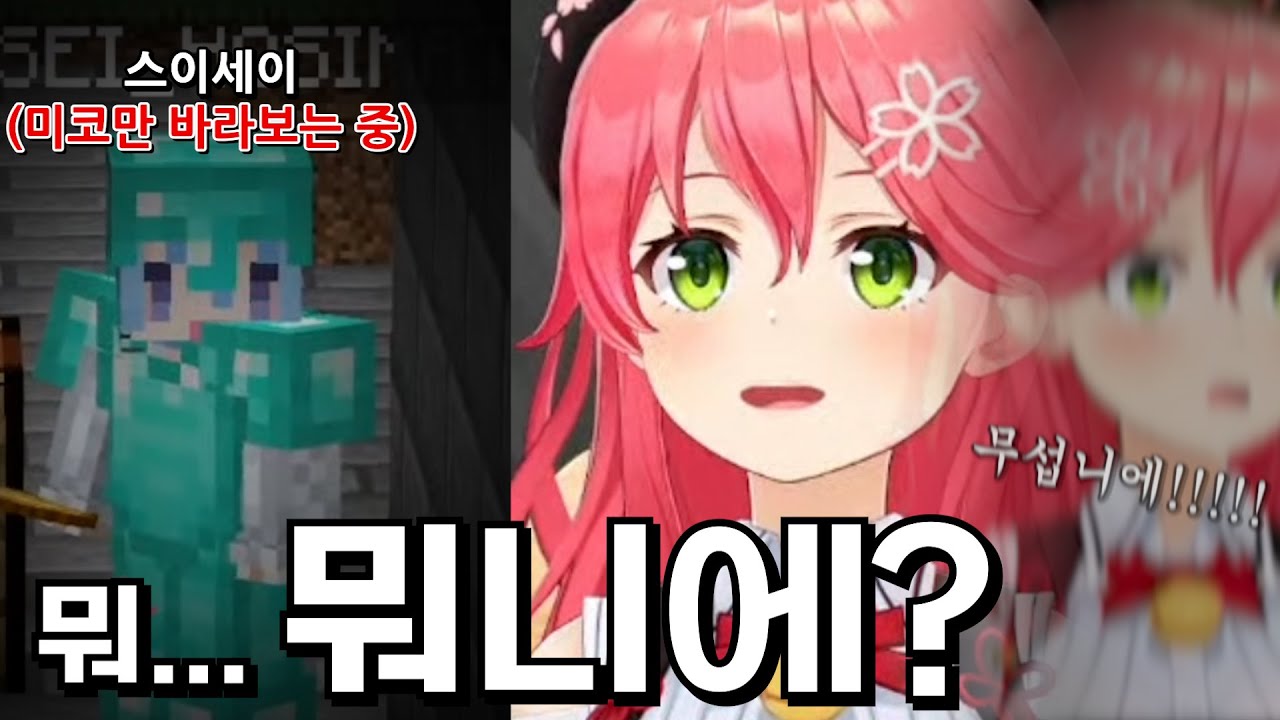 하루종일 미코만 보고있는 호찌마찌ㅋㅋㅋㅋㅋㅋㅋㅋ [홀로라이브 사쿠라 미코]