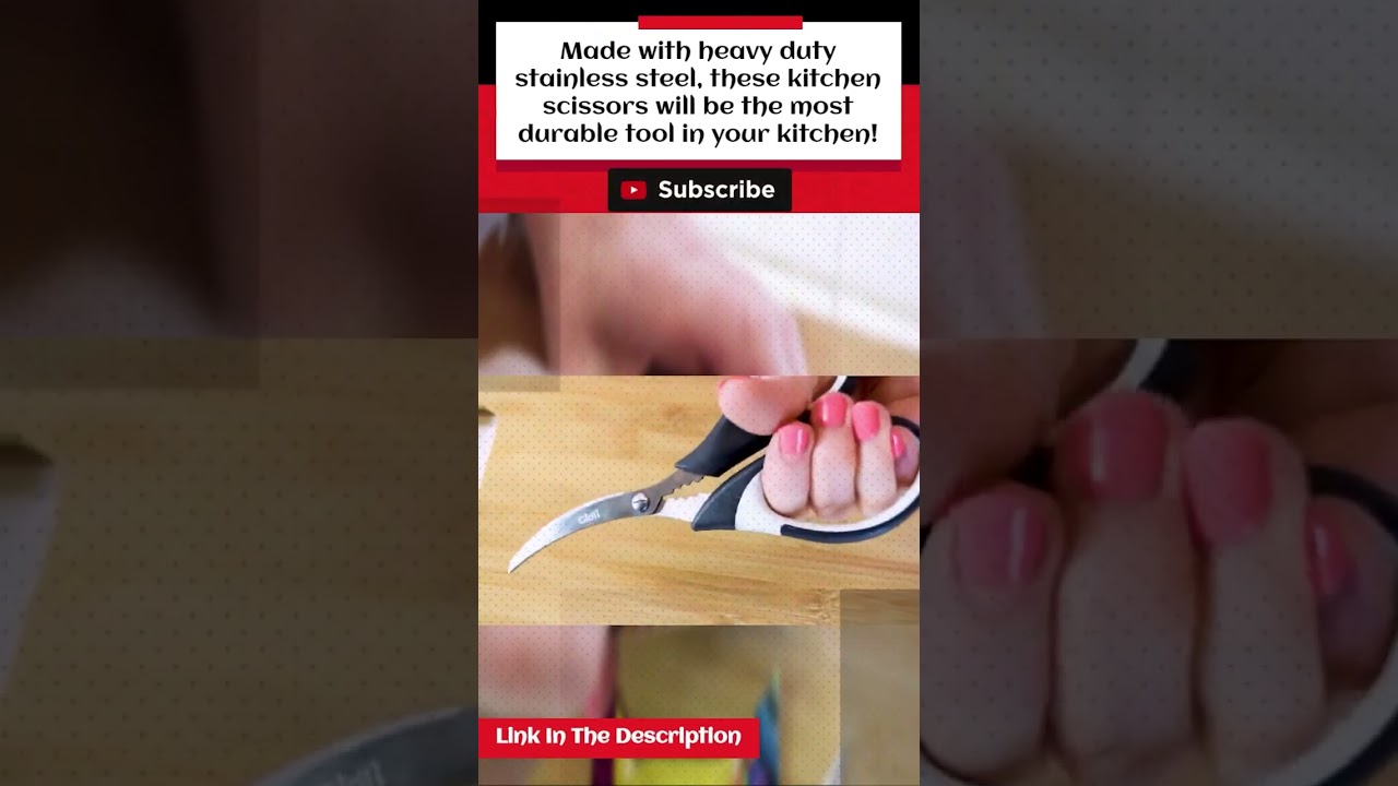 The Best Kitchen Scissors In 2023 