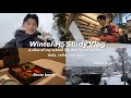 Winter Study Vlog❄️📚: Snow days, physics & econ studies, cafe hopping, and more!