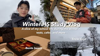 Winter Study Vlog❄️📚: Snow days, physics & econ studies, cafe hopping, and more!