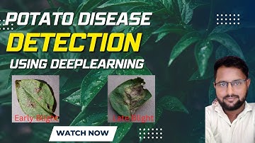 Potato Plant Disease Classification and Detection Using Deeplearning and Python 2022-23| 100% code