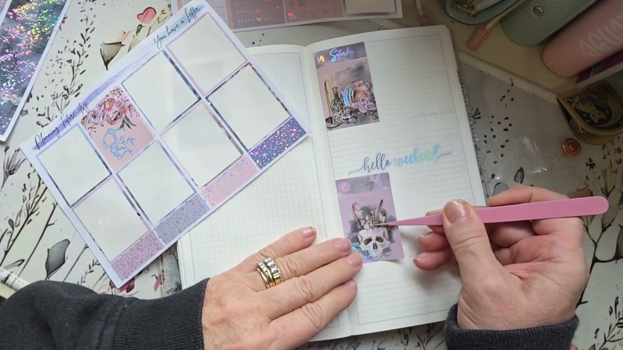 Faded Chronical TN, set up March 9 to 14/26.