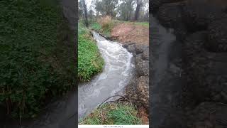 Creek Stream Scour Stopped With Rock Bags