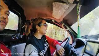 Gowesss mengumpulkan tumpukan kayu di hutan