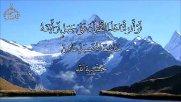 سورة يونس من الأية 101 - 109 - الشيخ محمد القلاوى