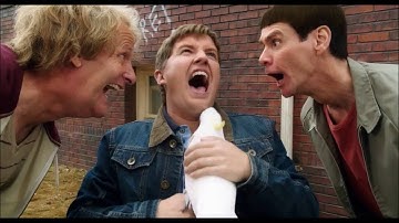 Dumb And Dumber To Tribute - Empire Of The Sun - Wandering Star(music video)