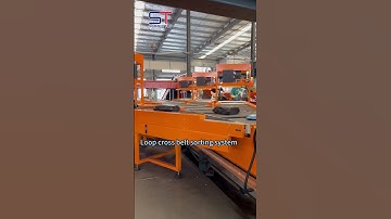 Loop cross belt sorting system