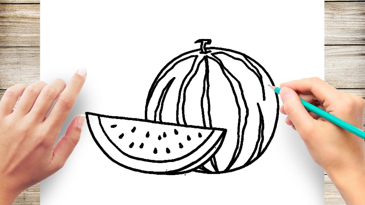 Featured image of post How To Draw Melon Discover ways to hone your drawing skills with adobe