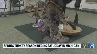 Spring turkey season begins Saturday in Michigan