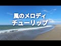 風のメロディ【チューリップ (歌詞付き) 】