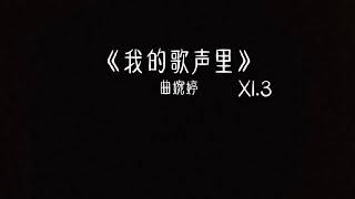 曲婉婷 - 我的歌声里 1.3x 抖音加速版「但彼此还是感觉到了对方的一个眼神 一个心跳」有字幕