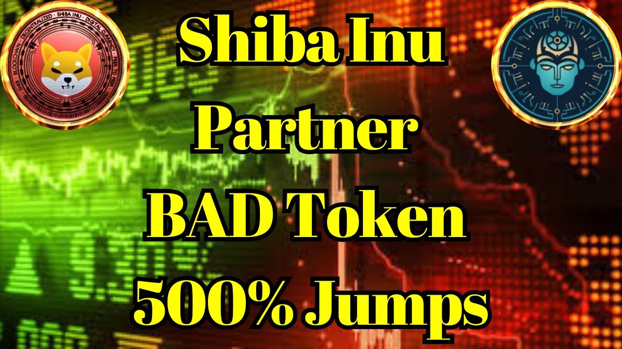 Breaking Coin | Shiba Inu Partner BAD Token Massive Whale in Spotlight as Price Jumps 500%