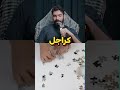ازاي تبقى ملك متجريش ورا الملكة 