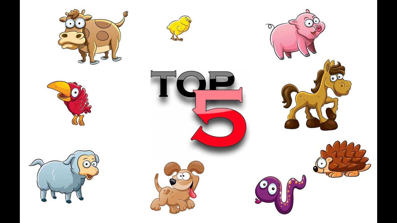 TOP 5 Animals Stories Northern