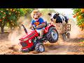 Monkey Farmer Drives Tractor to Harvest Oranges &amp; Barely Escapes a SHOCKING Crash with Cow