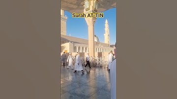 Surah AT-TIN Masjid Nabawi Beautiful View 😍 سورة التين #egzonibrahimi #surahattin #attin