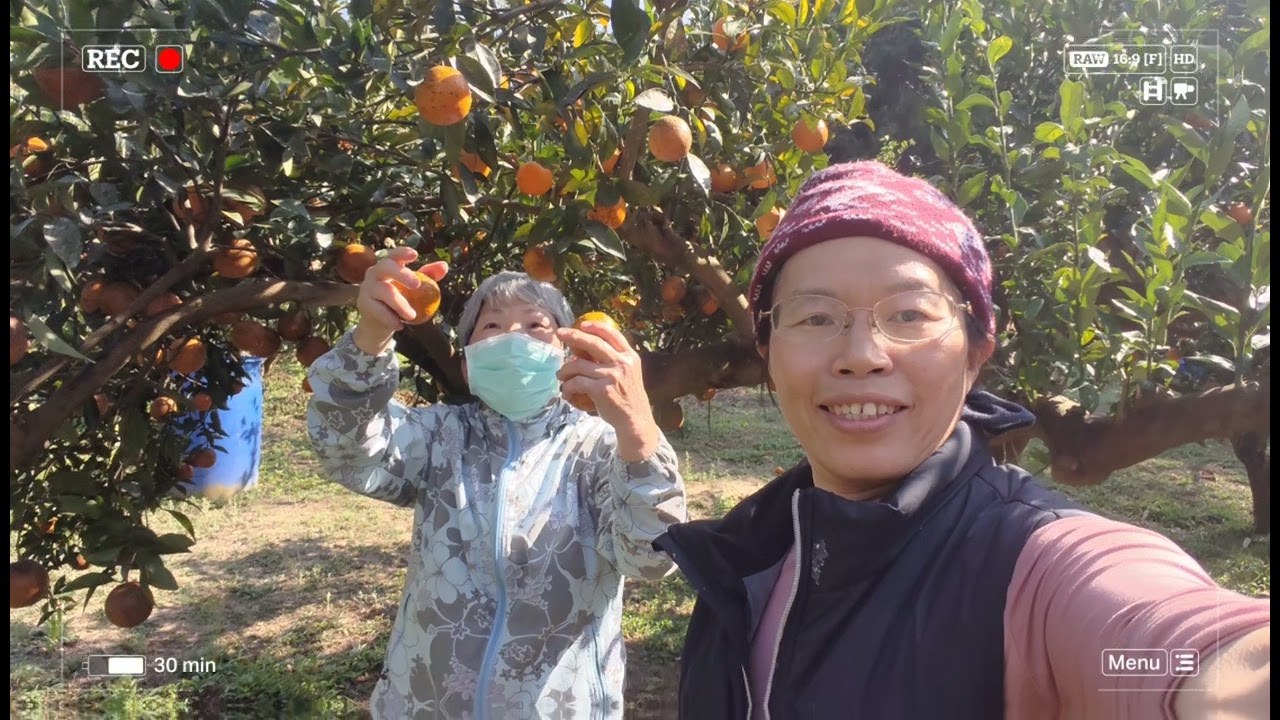 20260214手作柴燒年糕