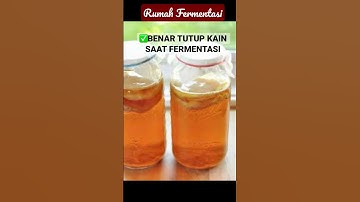 Thumbnail of ❌PERHATIAN SALAH CARA FERMENTASI KOMBUCHA #shorts #edukasikombucha