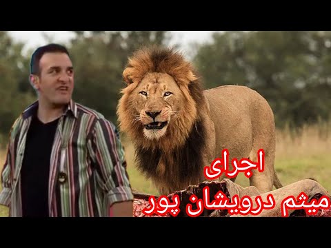 استند آپ معروف اجرای میثم درویشان پور موضوع ترس از حیوانات