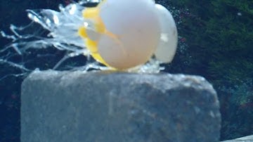 Slow Motion Egg Shot by Dragunov Svd