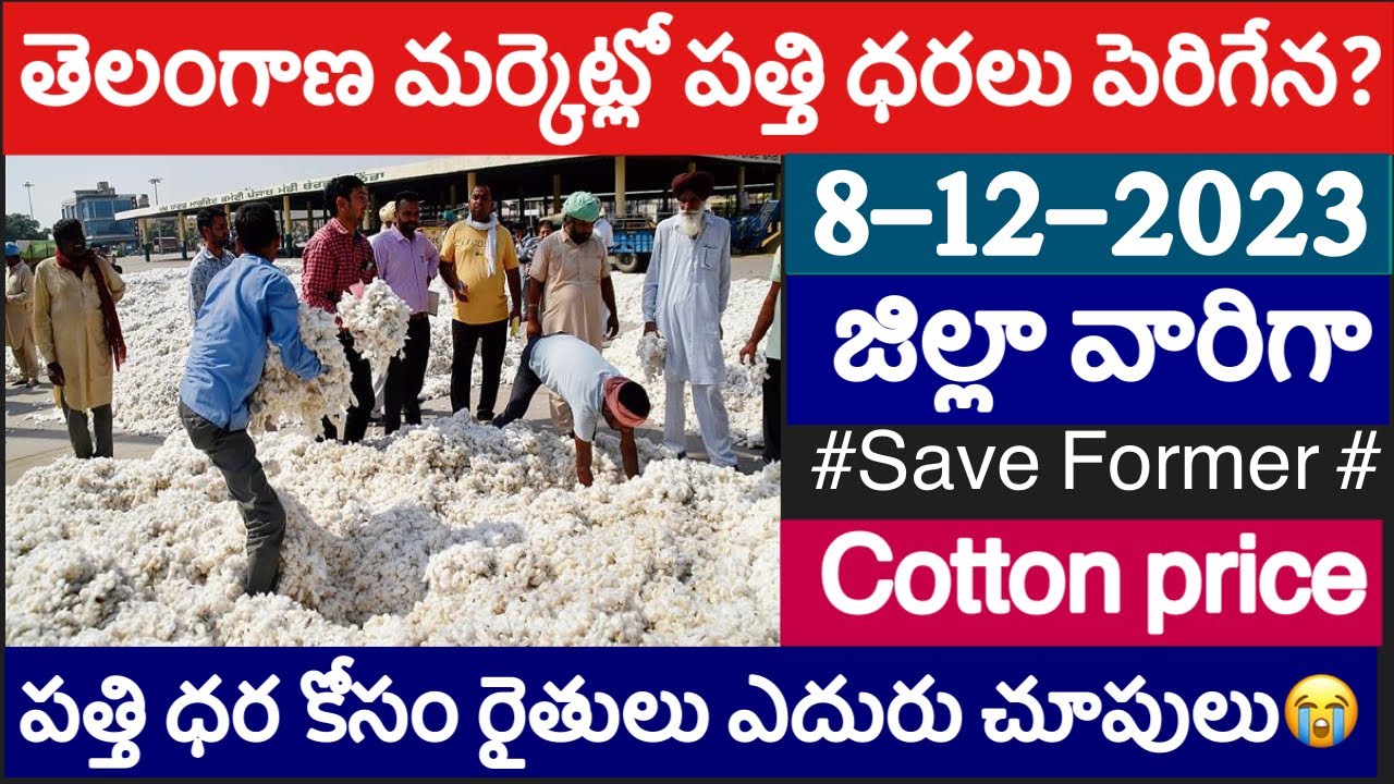 8122023 today cotton pricetoday cotton ratecotton price today