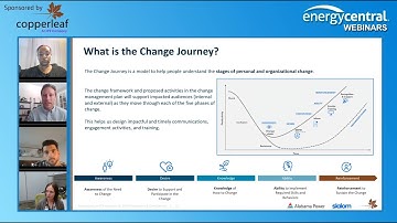 Alabama Power - A Holistic Approach to Change Management and Governance
