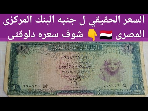 السعر الحقيقى ل جنيه البنك المركزى المصرى شوف سعره دلوقتى وصل كام