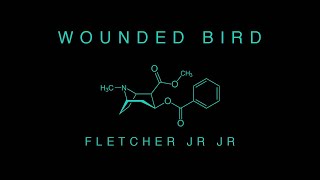 Fletcher Jr Jr Wounded Bird Video