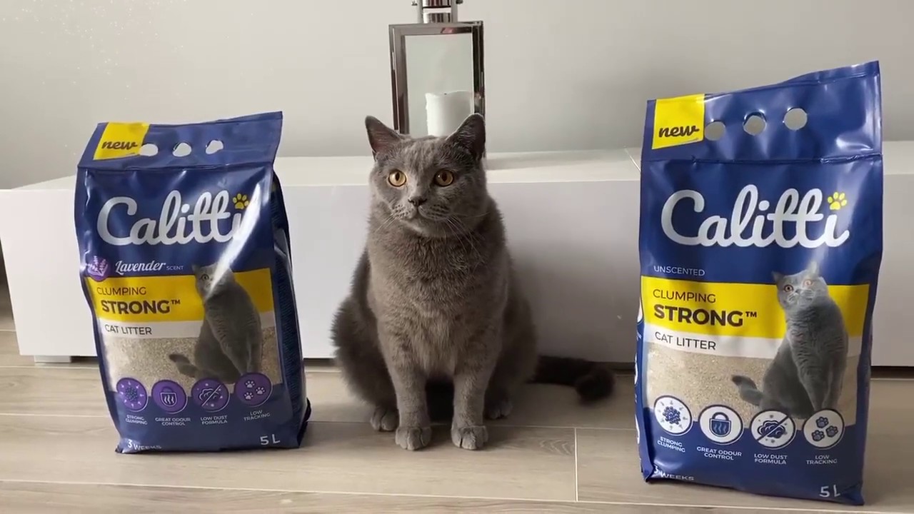 Calitti STRONG™ 5L cat litter by Blues