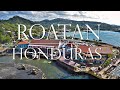 EXPLORING ROATAN IN A DAY:  Arrival in Port, Cab to West End, and Departure at the End of the Day