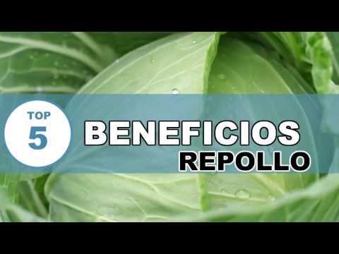 Repollo : Beneficios y Propiedades Curativas del Repollo para Nuestra Salud