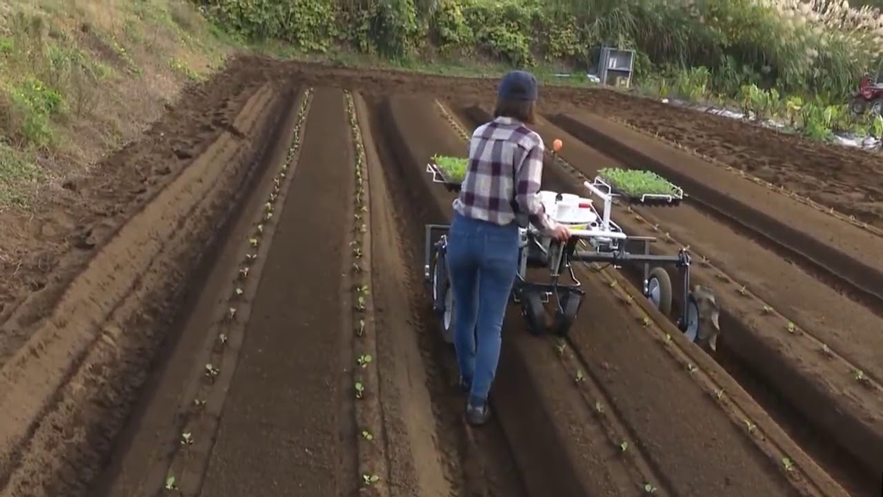 Israel farm tech - YouTube