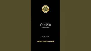 سورة النساء الآية 138-140 تلاوة شيخ الدوسري