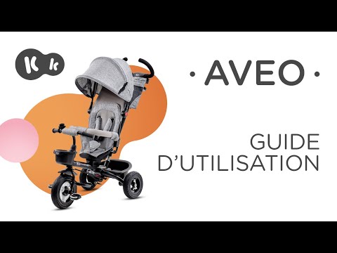 Vidéo: Envie de changer votre poussette pour un tricycle?