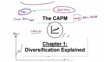 CAPM: What is Diversification?