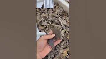 حقيقة العود الأزرق المخلف للعود 