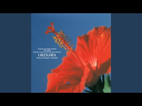 Iriomotejima Hinaisaara Kakou