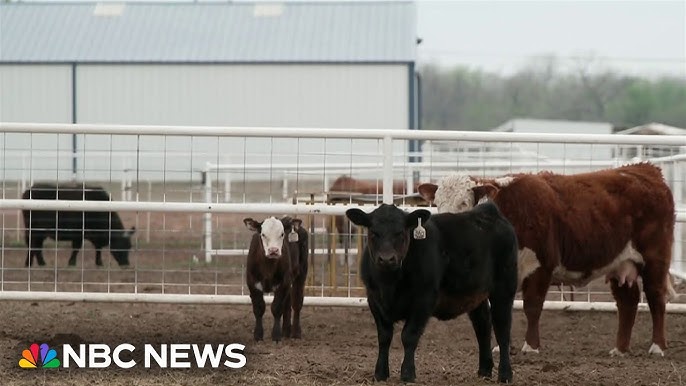 American Farmers Sending Aid To Rebuild Ukraine S Farming Industry Amid War