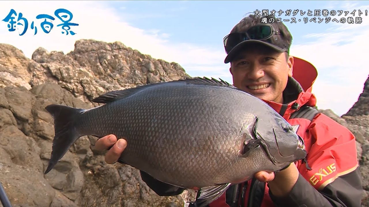 【釣り百景】#465 大型オナガグレと圧巻のファイト！ 魂のエース・リベンジへの軌跡