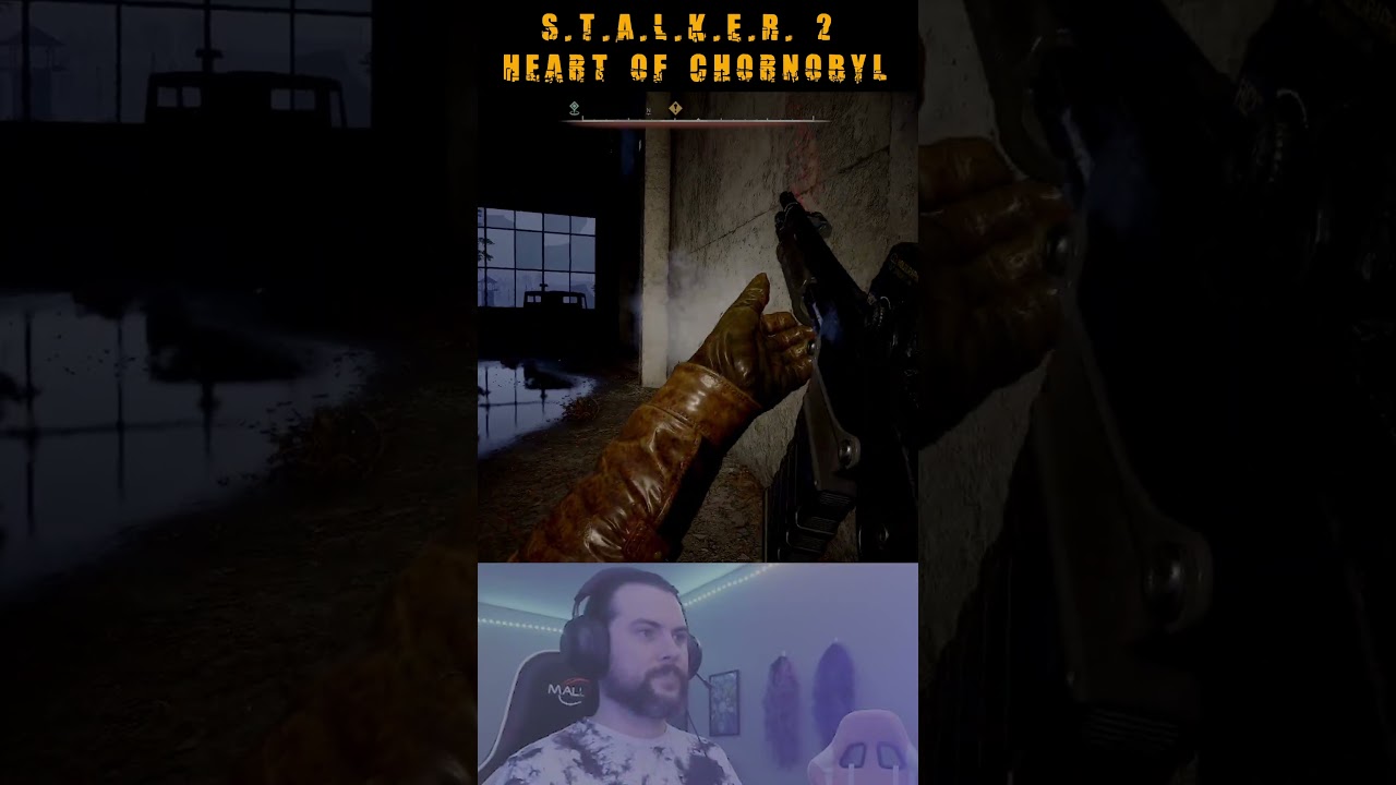 S.T.A.L.K.E.R. 2 - Poltergeist Kill  