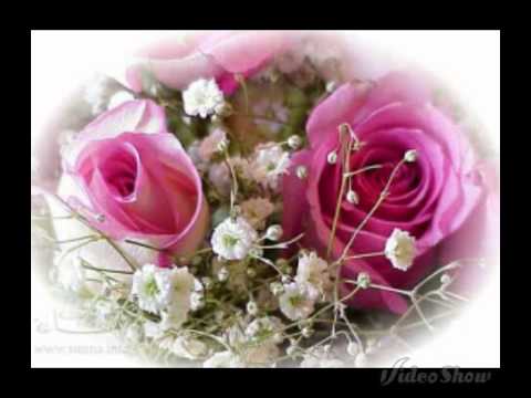 عيد ميﻻد سعيد لطفي