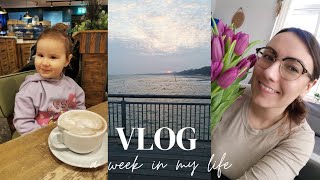 Wiosenne porządki w szafie😁 / Weekly vlog 😍 / Uciekamy przed gradem 👍 / Dzień kobiet 💐