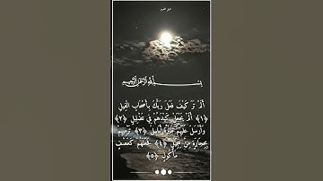 سورة الفيل أجمل تلاوة خاشعة بصوت الشيخ ياسر الدوسري #شبل المحرم
