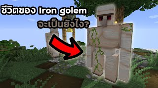 จะเป็นยังไง? ถ้าเราเล่นเป็น Iron golem ไปจบเกม - Minecraft mod