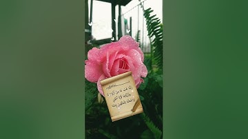 الاية 74، من سورة الفرقان