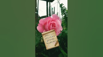 الاية 74، من سورة الفرقان