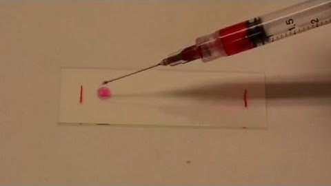 Glass slides treatment