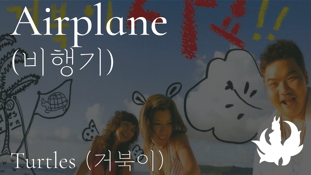 Turtles - Airplane (pronounciation/translation) - YouTube