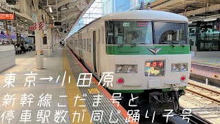 【乗車記録】185系運用の特急踊り子11号に乗車！【東京→小田原】