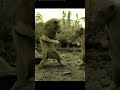 Bado Badi Bado Badi Lion Dancing In Forest Funniest Shorts Ever Funnyvideo Funnyshorts Funny